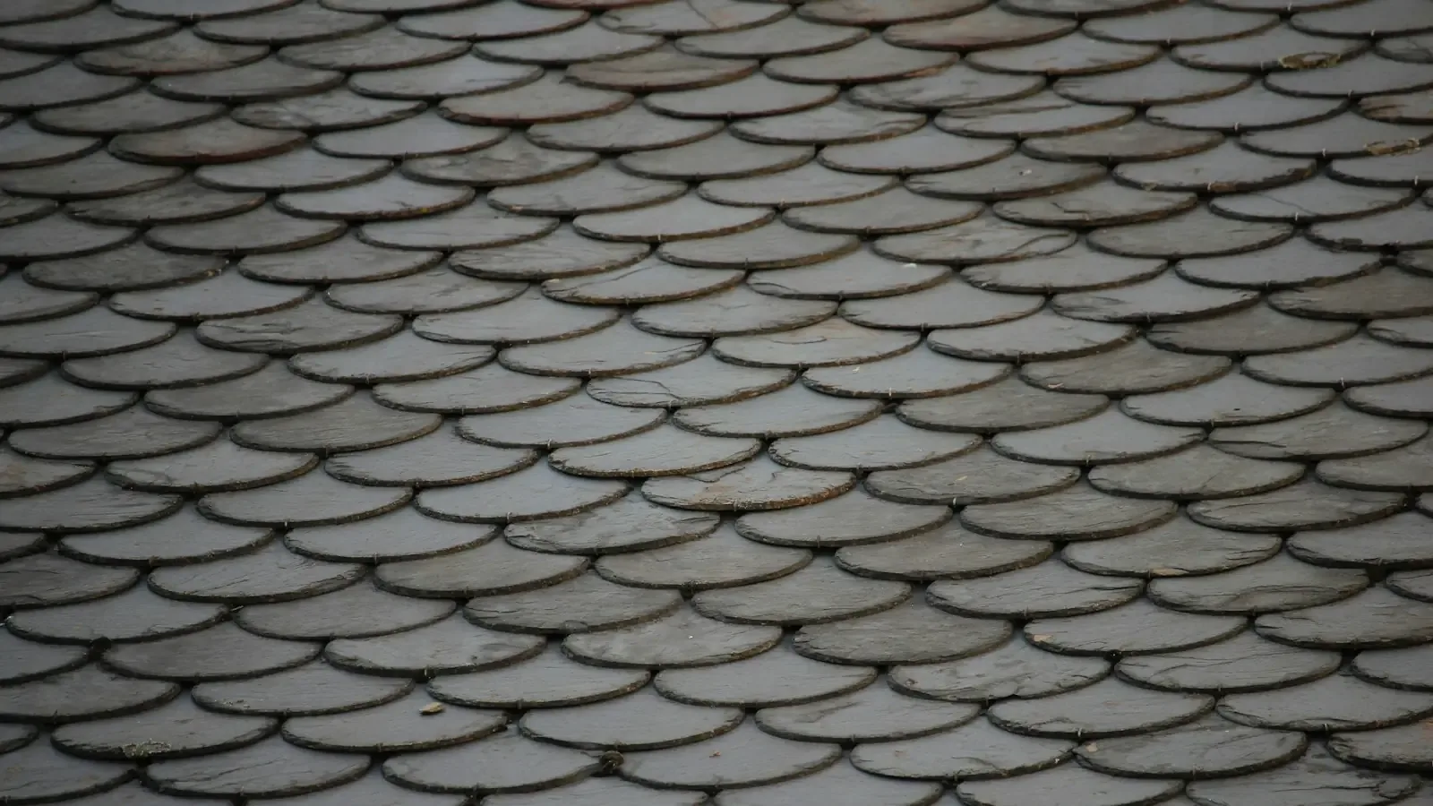 Metal Roofing